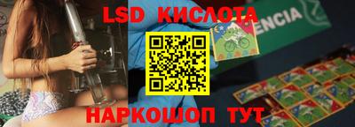 дмт Краснодар