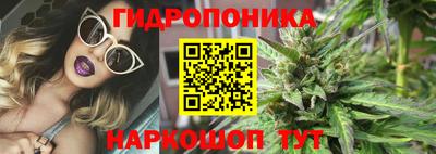 дмт Краснодар