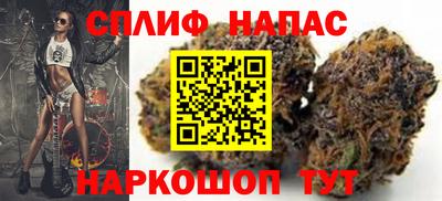 дмт Краснодар