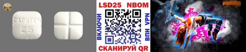 где найти наркотики  Кохма  ЛСД экстази кислота 