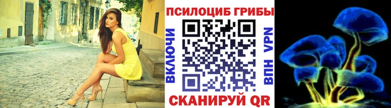 купить Кохма kraken зеркало darknet официальный сайт Галлюциногенные грибы прущие грибы