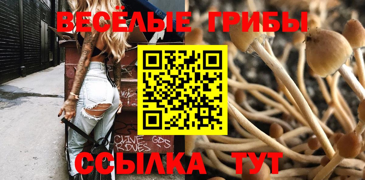 Кохма  Галлюциногенные грибы мухоморы  Вход с VPN 
