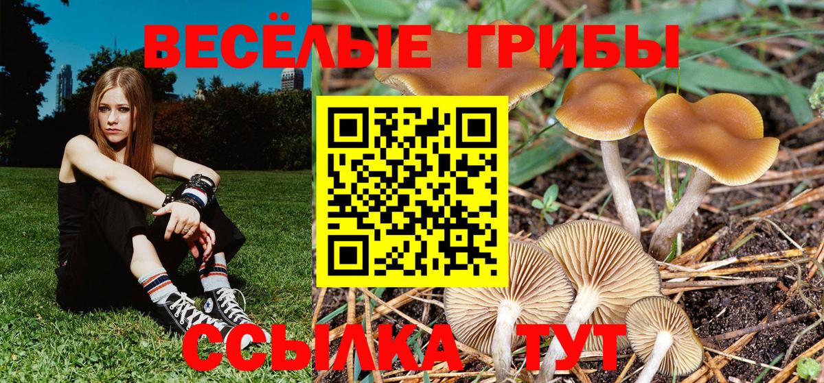 Галлюциногенные грибы ЛСД Кохма